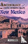Fewkes, J. Walter - Archeology of the Lower Mimbres Valley, New Mexico