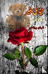 Tarannum Riyaz - Teddy Bear