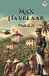 Multatuli, Multatuli - Max Havelaar