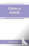 Benjamin, Park - A history of electricity (the intellectual rise in electricity) from antiquity to the days of Benjamin Franklin