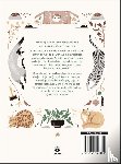 Davies, Alison - Het mysterie van de kat