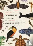 Broom, Jenny - Het dierenboek