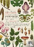 Scott, Katie, Willis, Kathy - Het plantenboek