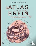Wierenga, Lara, Janse, Dirma - Atlas van ons brein - Een visuele reis door de hersenen