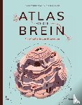 Wierenga, Lara, Janse, Dirma - Atlas van ons brein