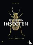 Delhem, Rik - Een boek vol insecten - Kleine beestjes in het groot
