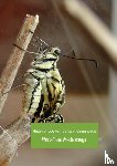Vlindermeisje, West-Fries - Metamorfose van de koninginnenpage