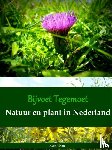 't Hart, Koen - Bijvoet Tegemoet - natuur en plant in Nederland
