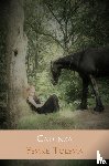 Tolsma, Femke - Cadenza