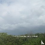Siegert, Christiane - Helende Woorden van de Wolken
