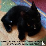 Eyck, K. - Ik ben Leo, een hulphond in een kattenjasje en ik help mijn baasje met PTSS - Hoe ik mijn baasje help met haar Post Traumatisch Stress Stoornis en overprikkeling