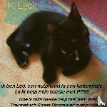Eyck, K. - Ik ben Leo, een hulphond in een kattenjasje en ik help mijn baasje met PTSS