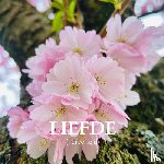 Bodhi, Noah - Liefde
