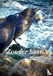 Pieters, Arie - Zonder haar...