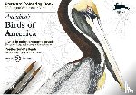 Roojen, Pepin van - Audubon's birds of America - Postcard Colouring Book