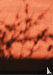 Van Reeth, Nathalie - Rooted Spaces