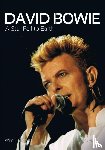 Hendrikse, Wim - David Bowie, a star fell to earth - a star fell to earth