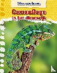 Gray, Leon - Camouflage in het dierenrijk