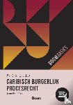 Lock, F.J.P. - Boom Basics Caribisch burgerlijk procesrecht