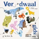 Hillenga, Martin, Zuiderbaan, Tjitske - Verdwaalgids