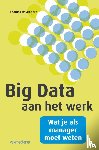 Davenport, Thomas - Big data - aan het werk wat je als manager moet weten