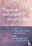 Treleaven, David A. - Traumasensitieve mindfulness