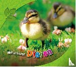 Rustad, Martha E.H. - Dieren