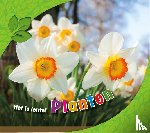 Rustad, Martha - Planten