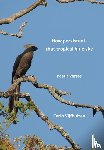 Vijfhuizen, Carin - How persistent, that tropical blue sky