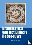 Vrolijk, A.E.M.A. - Grammatica van het Bijbels Hebreeuws