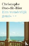 Ono-Dit-Biot, Christophe - Een wonderlijk gemis