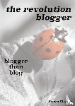 Vlaeyen, Steven - the revolution blogger - blogger than blog