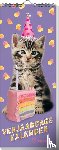 Interstat - Verjaardagskalender Rachael Hale - Kittens