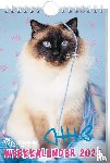 Hale, Rachael - Rachael Hale Katten weekkalender - 2026