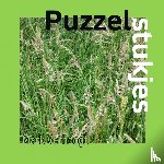 Verhoogt, Mark - Puzzelstukjes