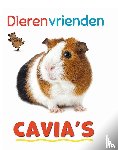 Howell, Izzi - Cavia