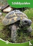 Roebers, Geert-Jan - Schildpadden