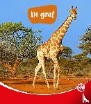 Dam, Minke van - De giraf