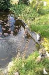 Linders, Ans - het grote voorleesboek