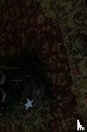 Linders, Ans - mooie kerstverhalen