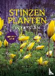 - Stinzenplanten in Fryslân