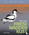 Engelmoer, Meinte, Hiemstra, Henk, Zondervan, Meino, Roosjen, Taeke - Vogels van de Friese Waddenkust