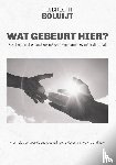 Boluijt, Huibrecht - Wat gebeurt hier?