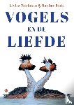 Werkman & Maxime Beck, Elvira - Vogels en de liefde