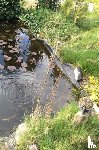 Linders, Ans - mijn