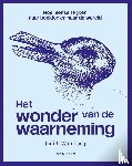 Wambacq, Judith - Het wonder van de waarneming