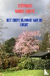Vande Ginste, Stéphane - Het diepe blauwe van de lucht
