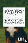 B.V., Andries - Alles over de Berner Sennenhond