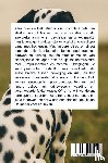 B.V., Andries - Alles over de Dalmatiër