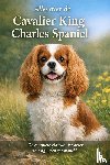 B.V. - Alles over de Cavalier King Charles Spaniel